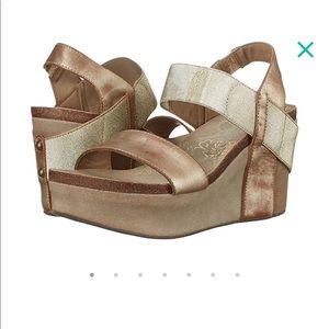 OTBT Bushnell Wedges